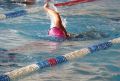 Mikołajkowy Maraton Pływacki odbędzie się 5 grudnia na pływalni Foka