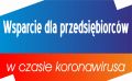 Wsparcie dla przedsiębiorców