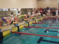 Reprezentanci Galicji i Olimpijczyka pływali najszybciej