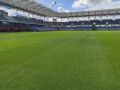 Przygotowania murawy na Stadionie Miejskim do meczu Korony Kielce z Górnikiem Zabrze