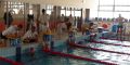 Kolejne Mistrzostwa Kielc Szkół Podstawowych w pływaniu 2 i 9 listopada (AKTUALIZACJA 31.10) - LISTA STARTOWA, HARMONOGRAM